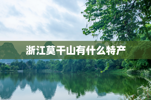 浙江莫干山有什么特产