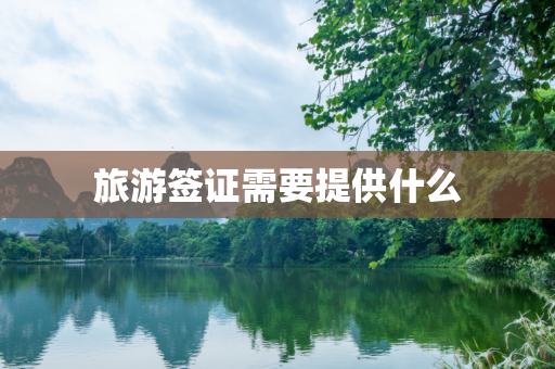 旅游签证需要提供什么