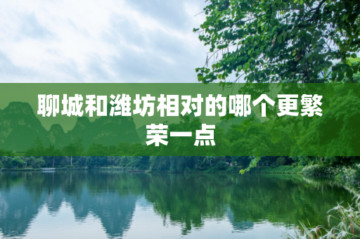 聊城和潍坊相对的哪个更繁荣一点