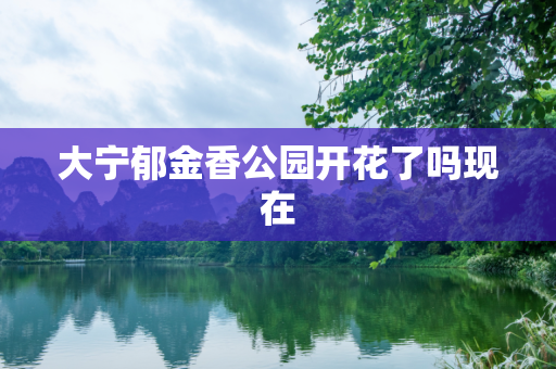 大宁郁金香公园开花了吗现在