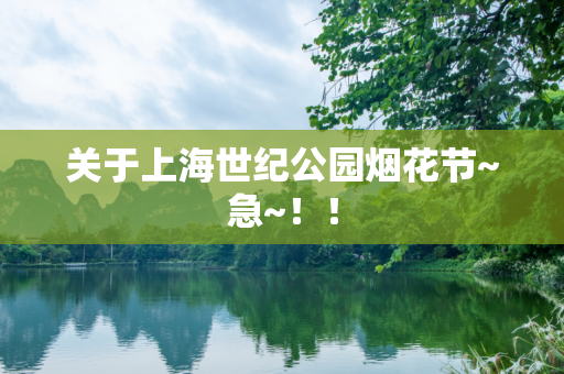关于上海世纪公园烟花节~急~！！