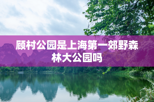 顾村公园是上海第一郊野森林大公园吗
