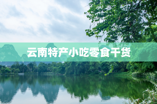 云南特产小吃零食干货