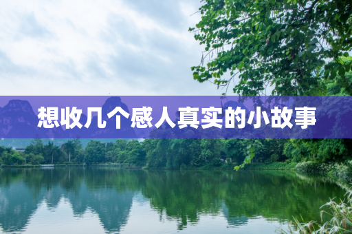 想收几个感人真实的小故事