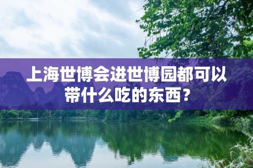上海世博会进世博园都可以带什么吃的东西？