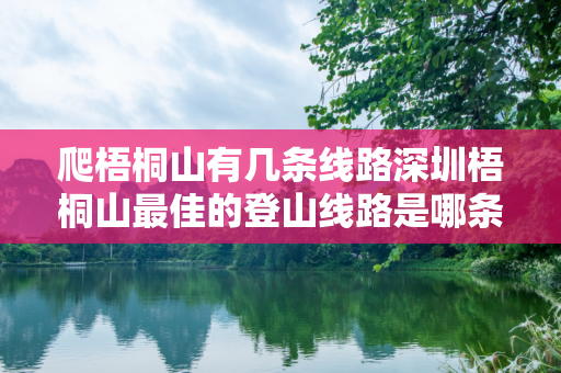 爬梧桐山有几条线路深圳梧桐山最佳的登山线路是哪条