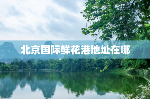 北京国际鲜花港地址在哪