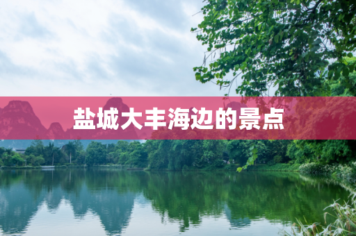 盐城大丰海边的景点