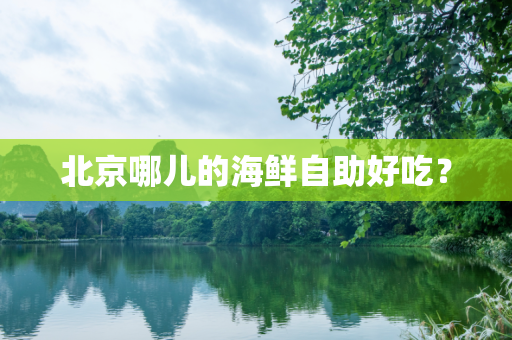 北京哪儿的海鲜自助好吃？