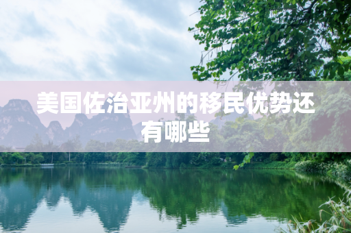 美国佐治亚州的移民优势还有哪些