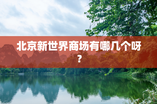 北京新世界商场有哪几个呀？