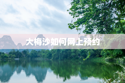 大梅沙如何网上预约