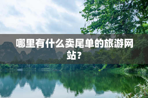 哪里有什么卖尾单的旅游网站？