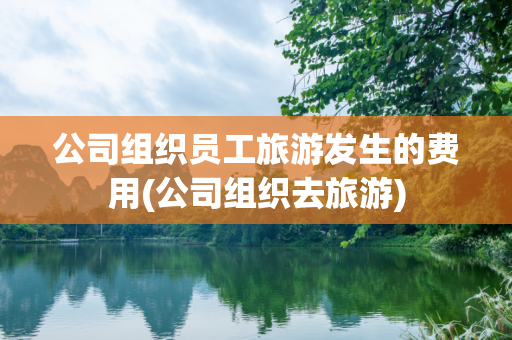 公司组织员工旅游发生的费用(公司组织去旅游)