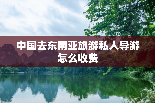 中国去东南亚旅游私人导游怎么收费