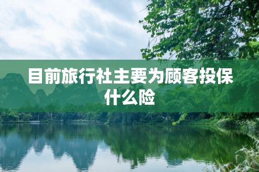 目前旅行社主要为顾客投保什么险