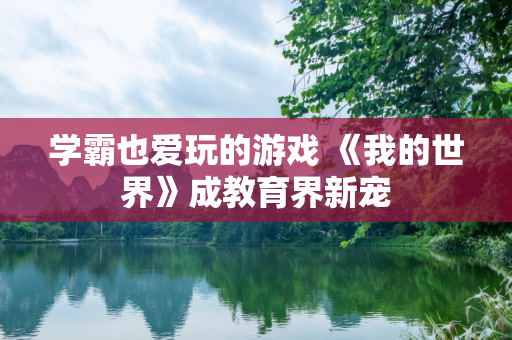 学霸也爱玩的游戏 《我的世界》成教育界新宠