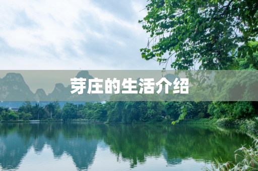 芽庄的生活介绍