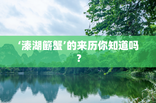 第1256页