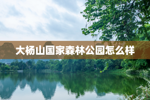 大杨山国家森林公园怎么样