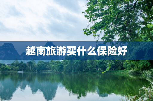 越南旅游买什么保险好