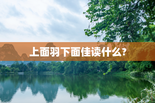 上面羽下面佳读什么?