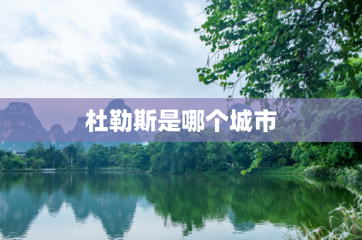 杜勒斯是哪个城市