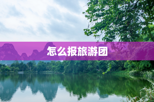 怎么报旅游团
