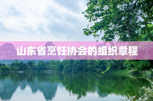 山东省烹饪协会的组织章程