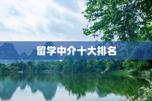 留学中介十大排名