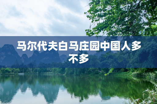 马尔代夫白马庄园中国人多不多