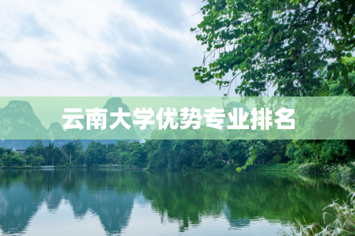 云南大学优势专业排名