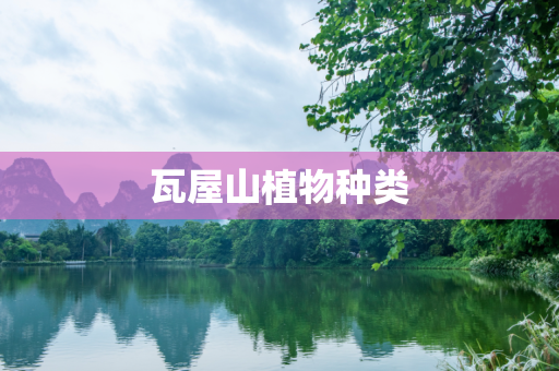 瓦屋山植物种类