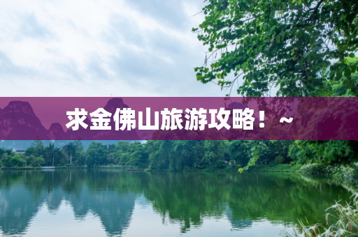 求金佛山旅游攻略！~