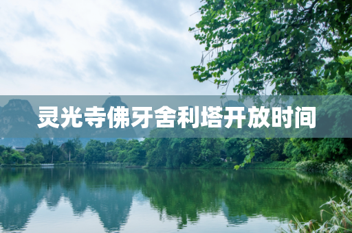 灵光寺佛牙舍利塔开放时间