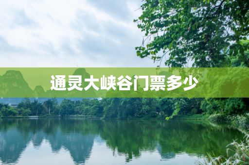 通灵大峡谷门票多少