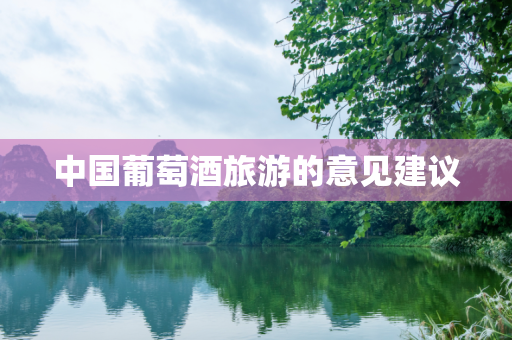 中国葡萄酒旅游的意见建议