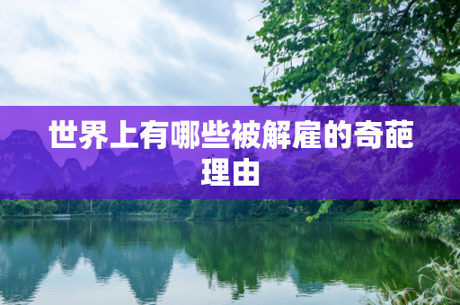 世界上有哪些被解雇的奇葩理由