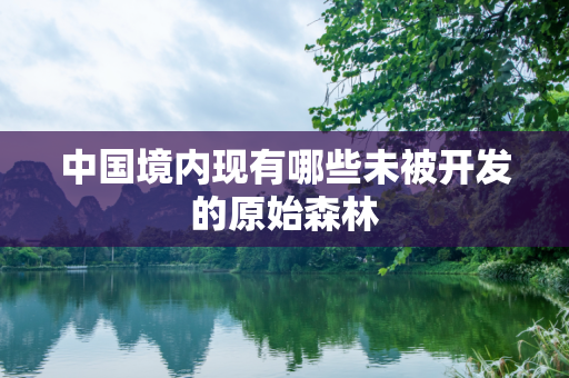 中国境内现有哪些未被开发的原始森林
