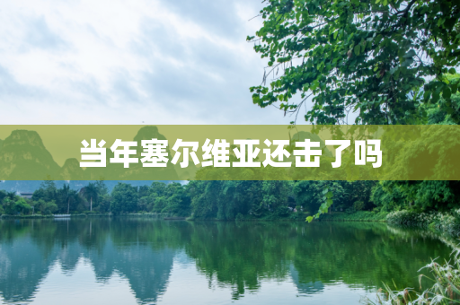 当年塞尔维亚还击了吗