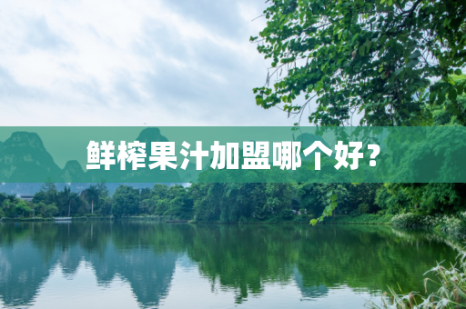 鲜榨果汁加盟哪个好？
