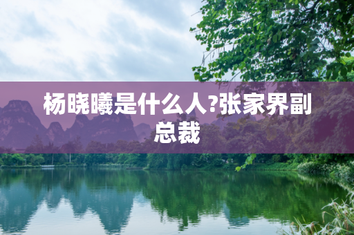 杨晓曦是什么人?张家界副总裁
