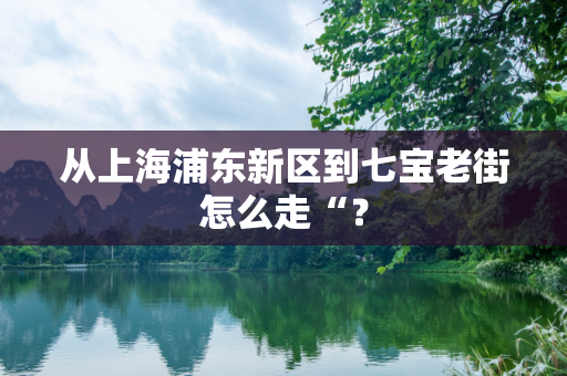从上海浦东新区到七宝老街怎么走“？