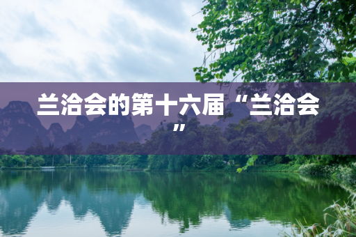 兰洽会的第十六届“兰洽会”