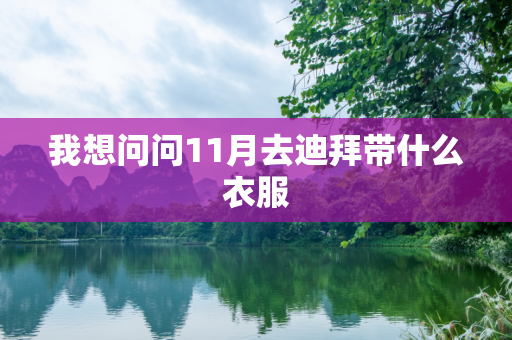 我想问问11月去迪拜带什么衣服