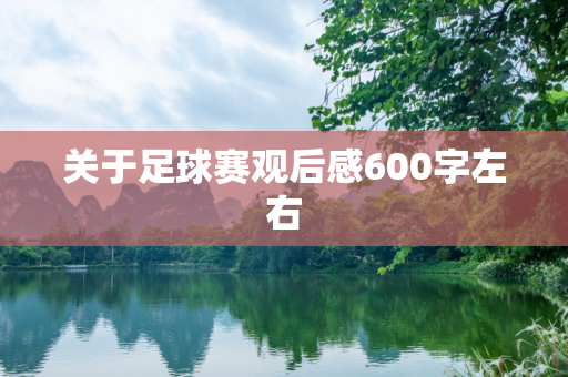 关于足球赛观后感600字左右