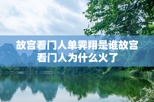 故宫看门人单霁翔是谁故宫看门人为什么火了