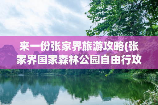 来一份张家界旅游攻略(张家界国家森林公园自由行攻略)