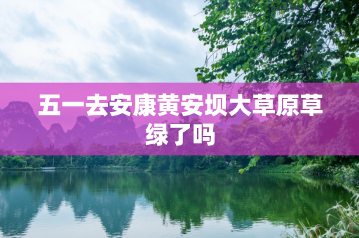五一去安康黄安坝大草原草绿了吗