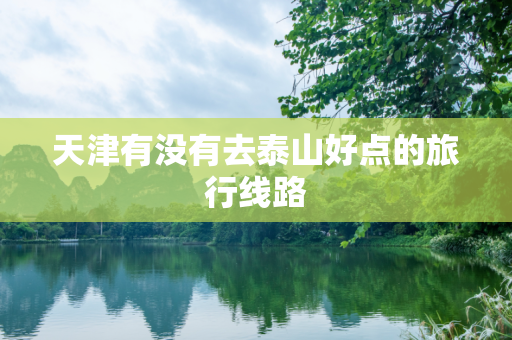 天津有没有去泰山好点的旅行线路